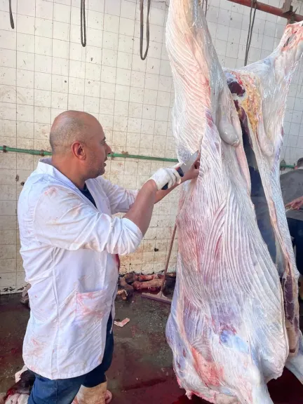 ”الزراعة” تعلن ذبح 35,514 أضحية بالمجازر الحكومية مجاناً للمواطنين خلال عيد الأضحى المبارك
