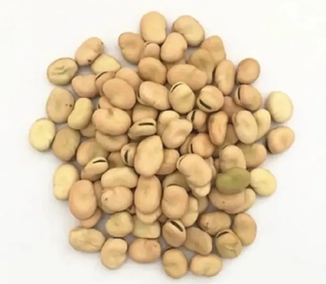 أفضل طرق تخزين الفول البلدي
