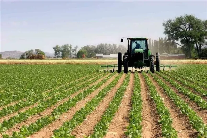 الزراعة تكشف خطة التوسع إلى 12 مليون فدان واستصلاح الصحراء بـ500 معدة