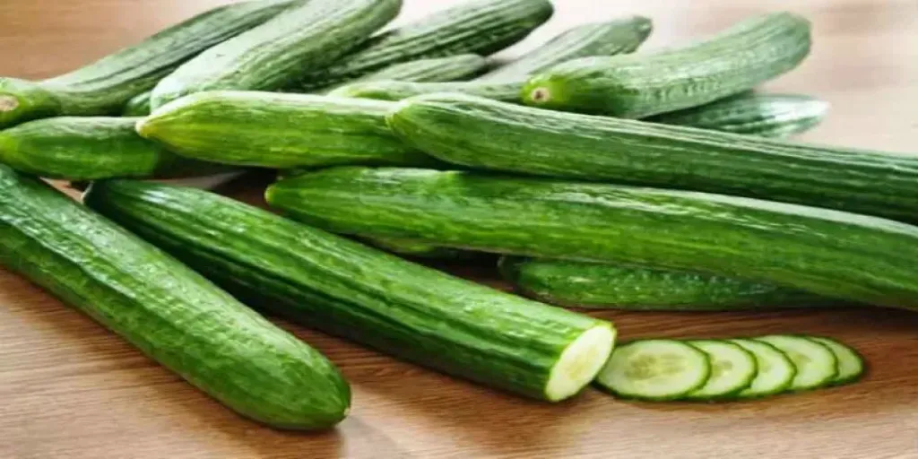 صادرات الخيار المغربي لألمانيا تقفز بنسبة 10% وتتجاوز 8 ملايين يورو