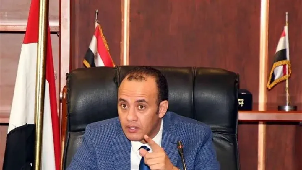 شعبة الدواجن بالجيزة: فائض الإنتاج يدعم التصدير.. ومصر تفاوض كوت ديفوار على استيراد المجمدة