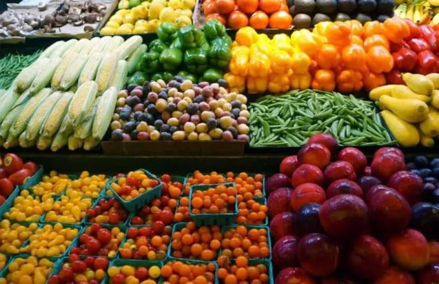 القطاع الزراعي يترقب خفض الفائدة لدعم التوسع وزيادة الإنتاج