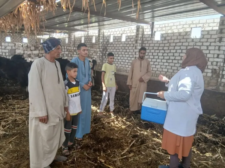 بيطري أسيوط يواصل الحملة القومية لتحصين الماشية وتعزيز الأمن الحيوي بالقرى والنجوع