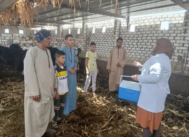 بيطري أسيوط يواصل الحملة القومية لتحصين الماشية وتعزيز الأمن الحيوي بالقرى والنجوع