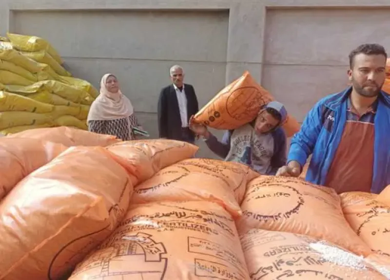 وكيل زراعة كفر الشيخ يتابع صرف الأسمدة الصيفية ببيلا ويشدد على تيسير الخدمات للمزارعين