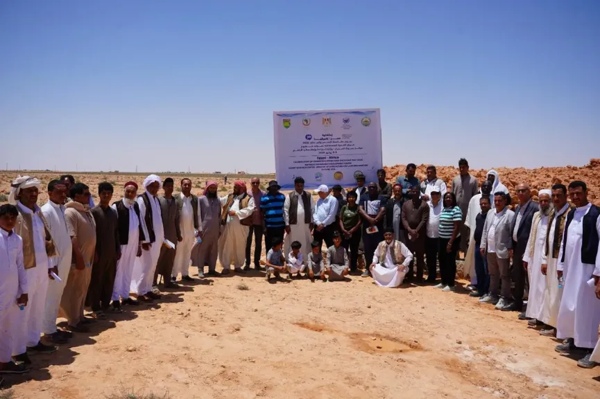 احتفالا باليوم المصري الإفريقي لمكافحة التصحر.. تدشين أول رابطة لتنمية المراعي في مصر وإفريقيا والعالم