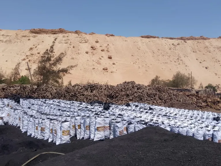 المنوفية تزيل 40 مكمورة فحم مخالفة وتؤهل 20 فدانًا للزراعة من جديد