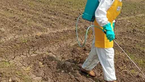 الزراعة تنفذ إجراءات مكثفة لحماية المحاصيل من الآفات الحشرية الخطرة