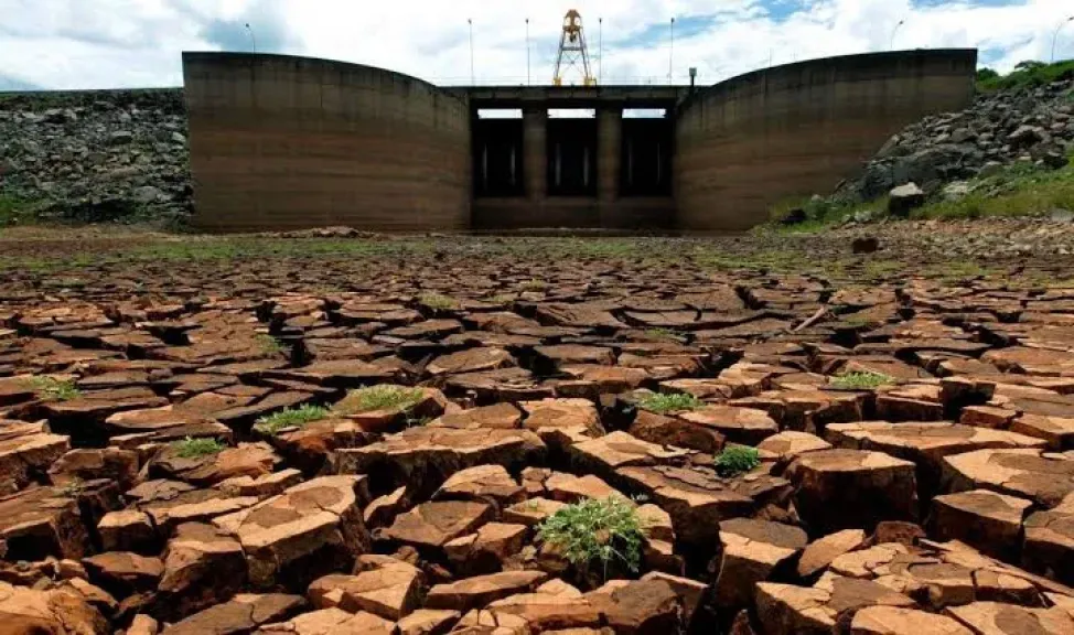 دراسة تفجر مفاجأة وتكشف عن أصوات تصدرها النباتات الواقعة تحت الإجهاد