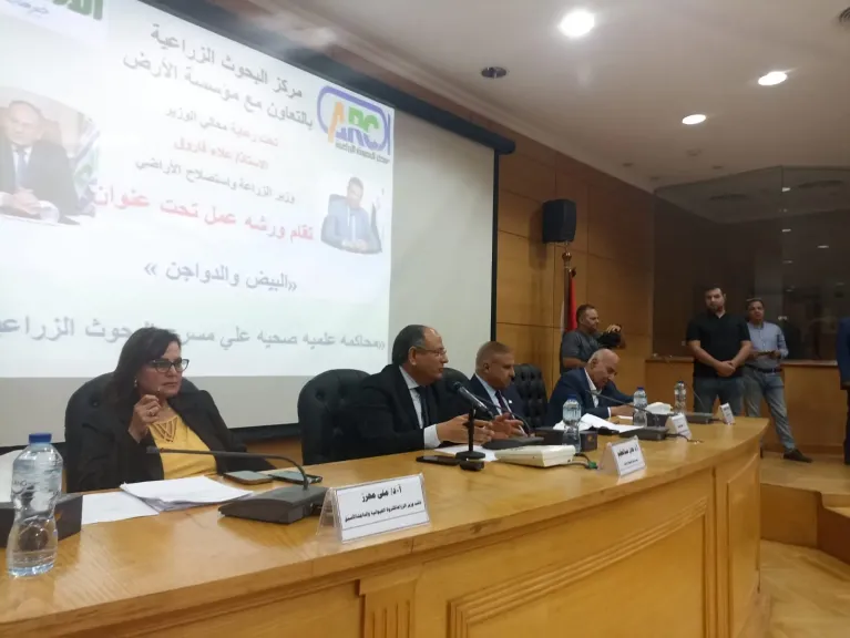 رئيس مركز البحوث الزراعية: لا توجد أي مبررات علمية لحملات التشكيك في الدواجن والبيض