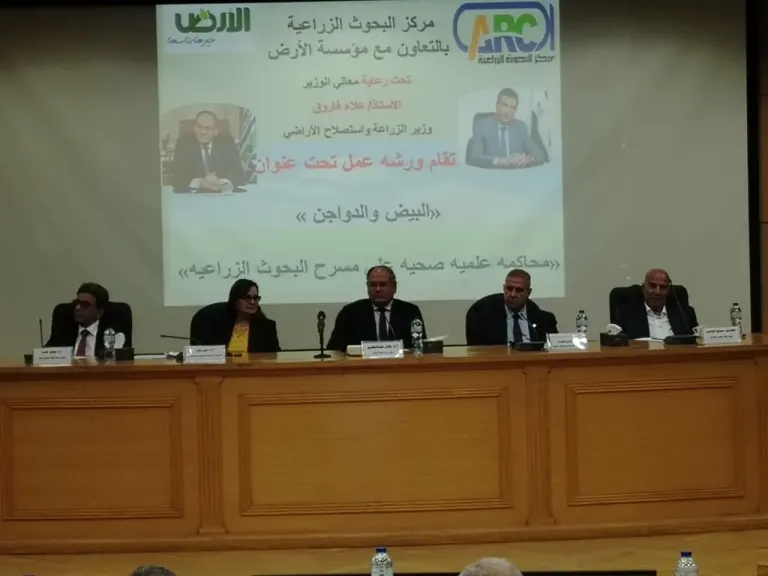 رئيس لجنة الشيوخ بمجلس النواب: صناعة الدواجن نموذج ناجح للاقتصاد الزراعي