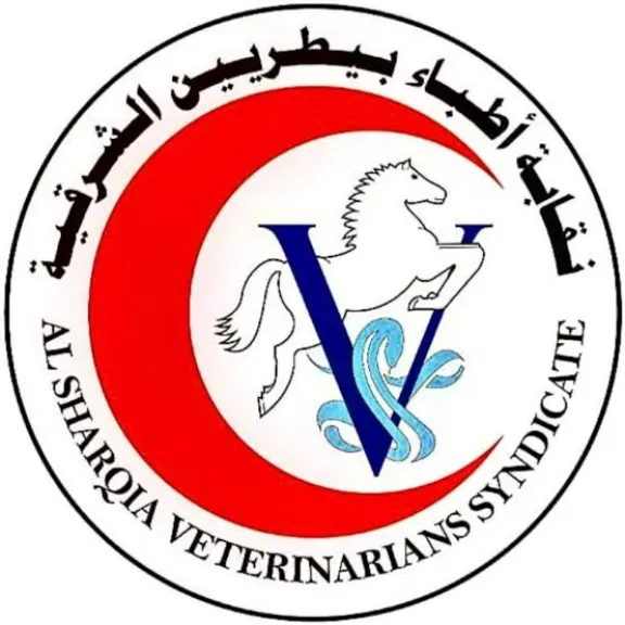 استغاثة العشرات من الأطباء البيطريين بالشرقية بعد تجميد رواتبهم لـ 4 سنوات ونصف