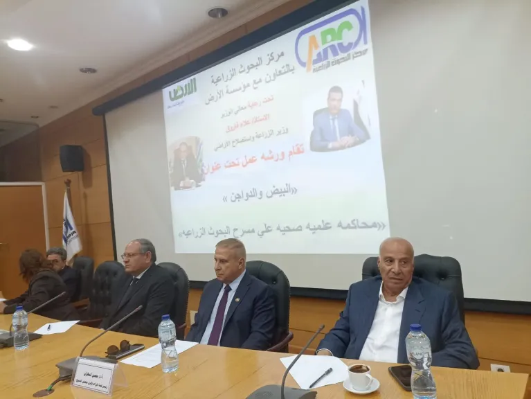 رئيس اتحاد منتجي الدواجن: هناك إقبال عالمي على الدواجن عكس اللحوم الحمراء