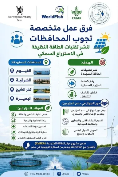 الطاقة المتجددة تدعم الاستزراع السمكي.. ورش عمل ميدانية لرفع كفاءة المزارع وتعزيز التصدير