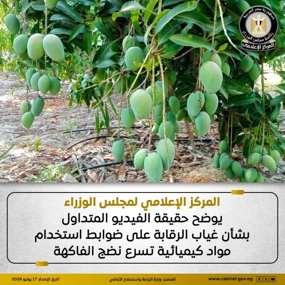 أول تعليق من «الزراعة» على فيديو استخدام مواد كيميائية تسرع نضج الفاكهة