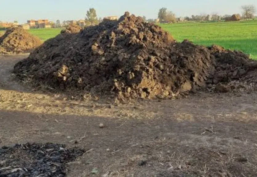 من المخلفات إلى الذهب الأخضر.. طريقة إنتاج سباخ بلدي عالي الكفاءة