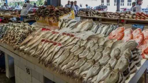 استقرار أسعار الأسماك بسوق العبور مع توافر المعروض في الأسواق