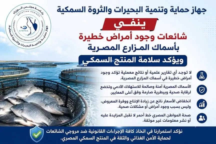 جهاز حماية البحيرات يحسم الجدل: الأسماك المصرية آمنة والشائعات تستهدف قطاعًا استراتيجيًا