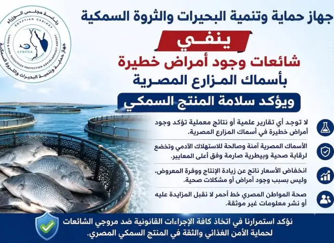 جهاز حماية البحيرات يحسم الجدل: الأسماك المصرية آمنة والشائعات تستهدف قطاعًا استراتيجيًا