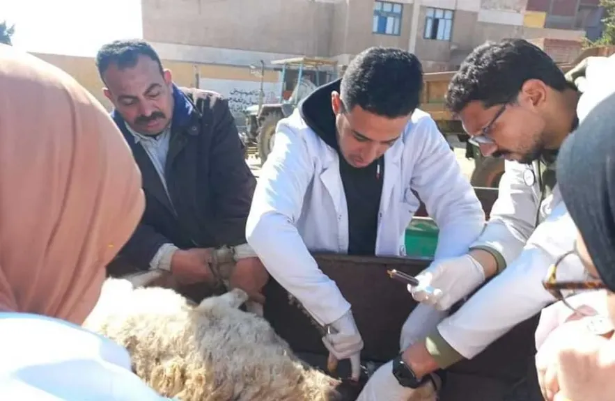 حيوان مجهول يهاجم أهالي قرية بالمنوفية ويصيب 10 أشخاص.. والطب البيطري يتحرك لضبطه