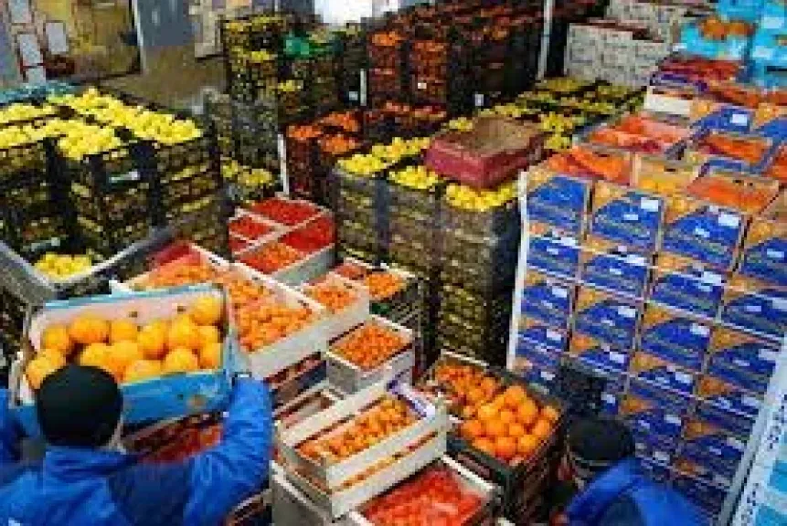 تعرف على فرص مصر الزراعية بعد موجات الحر الأوروبية