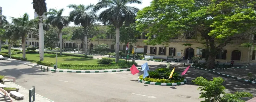 جامعة القاهرة تعتمد بروتوكول تعاون بين كلية الزراعة ومؤسسة ”أزرع شجرة”