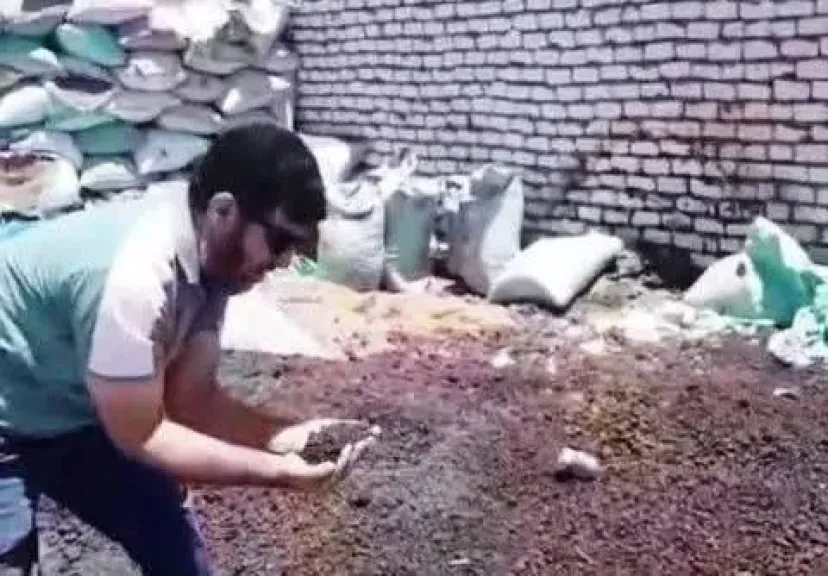 ضبط مصنع يستخدم الدقيق والصبغات في تصنيع الفلفل الأسود ببني سويف