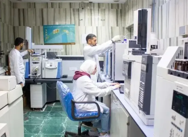 المركزي للمبيدات: تحليل 744 عينة لضمان سلامة الغذاء ودعم الصادرات الزراعية