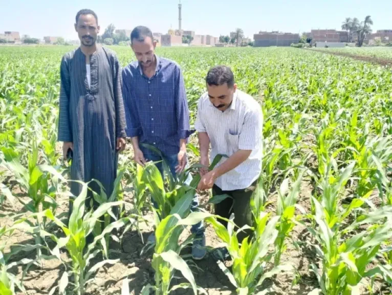 محافظ أسيوط يعلن تكثيف القوافل الإرشادية لدعم القطاع الزراعي
