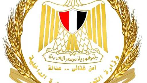 غربلة بطاقات التموين.. كيف تضمن الدولة وصول الدعم لمستحقيه ومن هما المستبعدون؟