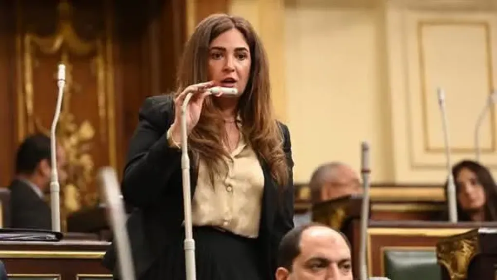 تحرك برلماني عاجل بشأن تقليص المساحات الخضراء في مدينة العبور