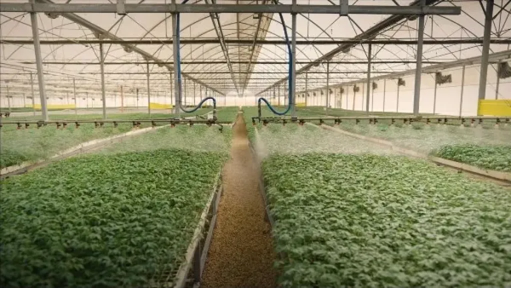 جهاز مستقبل مصر للتنمية المستدامة ينفي مغالطات قانون إعادة تنظيمه