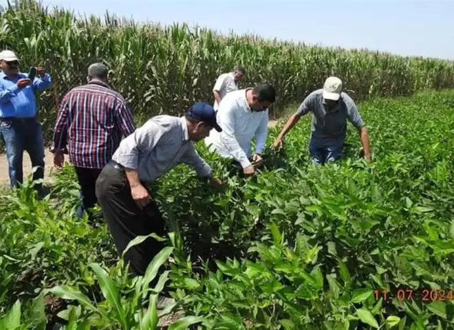 تحذيرات عاجلة للمزارعين والمواطنين في أخطر أيام الصيف