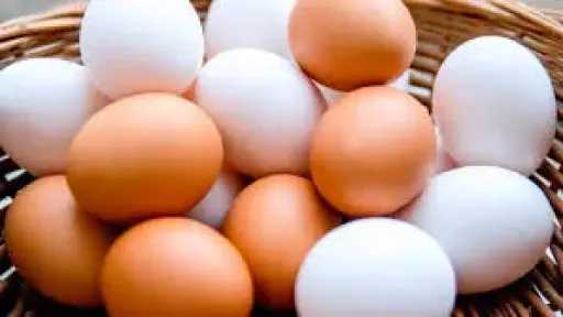 ارتفاع طفيف للأبيض .. أسعار كرتونة البيض اليوم الإثنين 13 - 7 - 2026