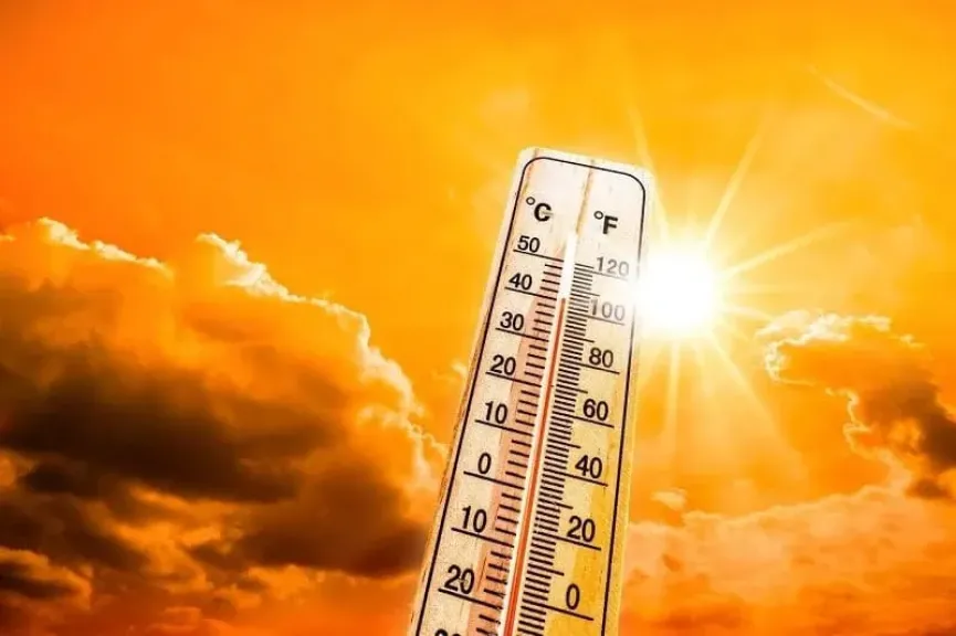 إرشادات عاجلة من رئيس مركز معلومات تغير المناخ لمواجهة الموجة شديدة الحرارة