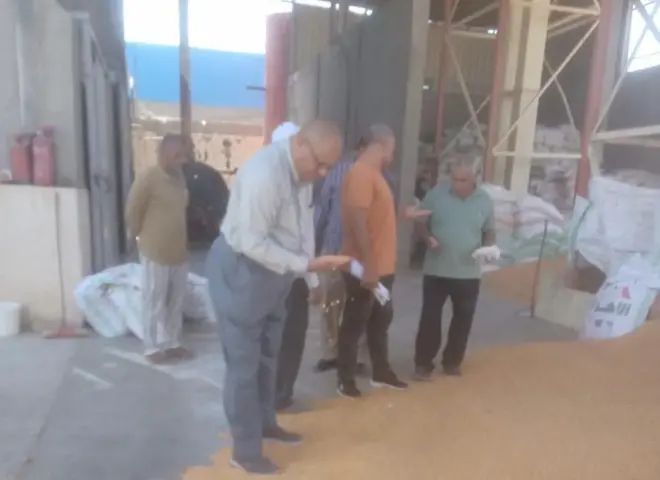 لجان الزراعة تراجع تراخيص مصانع الأعلاف بسوهاج لدعم الإنتاج الحيواني