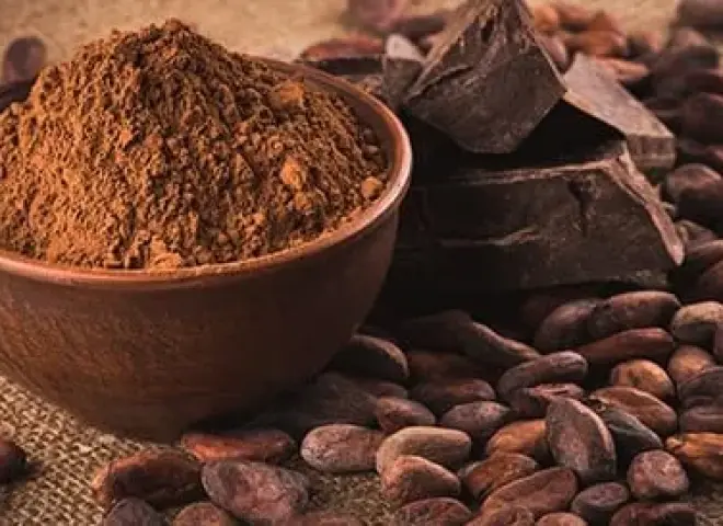خبيرة بمركز البحوث تكشف فوائد الكاكاو الخام لصحة الدماغ والقلب
