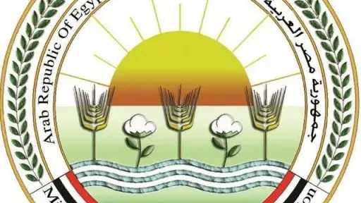 إطلاق الخطة الوطنية الموحدة لإدارة ملف ”حيوانات الشارع” والتصدي للشائعات