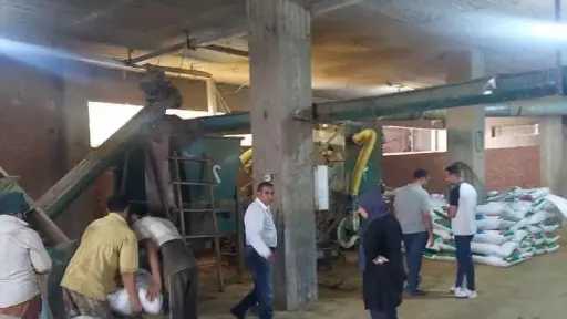 الزراعة تكشف خطة حماية محصول الموز.. مرور ميداني وتوصيات حاسمة للمزارعين