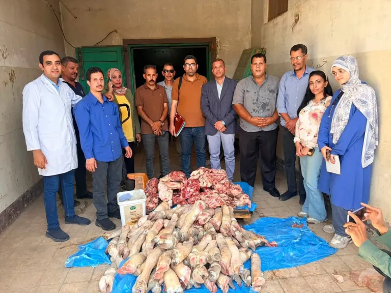 ضبط 250 كيلو لحوم فاسدة داخل مطعم شهير بسوهاج