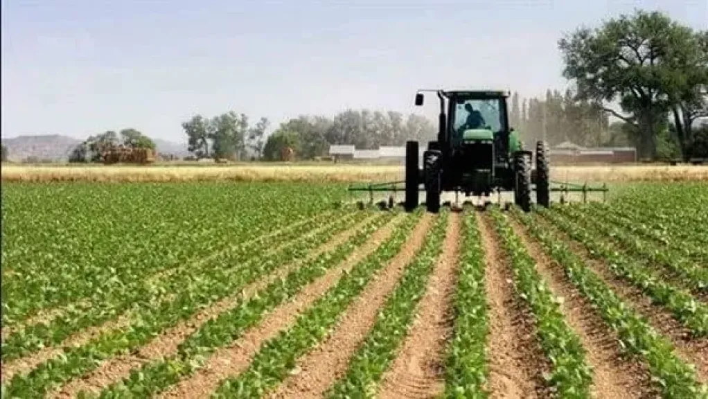 رئيس الأراضي المستصلحة يكشف أسرار الطفرة الزراعية في عهد السيسي