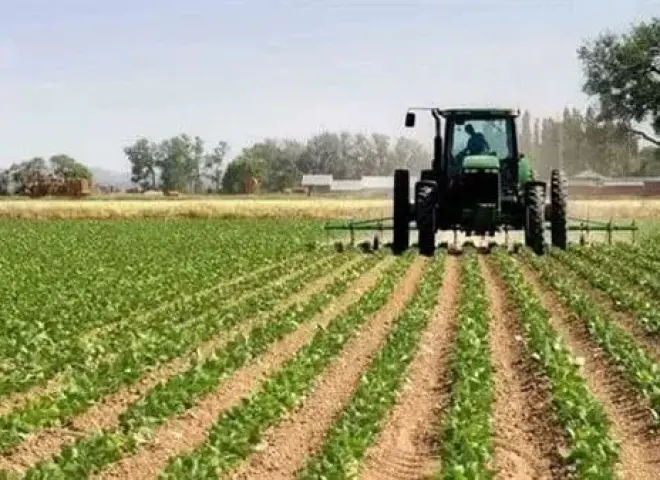 رئيس الأراضي المستصلحة يكشف أسرار الطفرة الزراعية في عهد السيسي