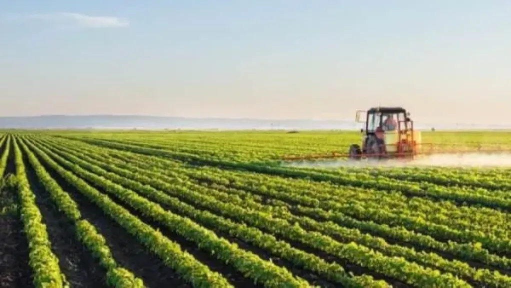 في ذكرى ثورة يوليو.. أمين سر زراعة الشيوخ يشيد بطفرة القطاع الزراعي في الجمهورية الجديدة
