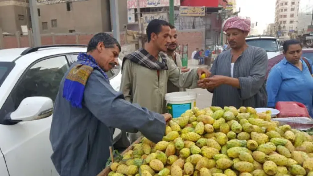 صدمة في الأسواق.. التين الشوكي يسجل أسعارًا قياسية ويثير غضب المستهلكين