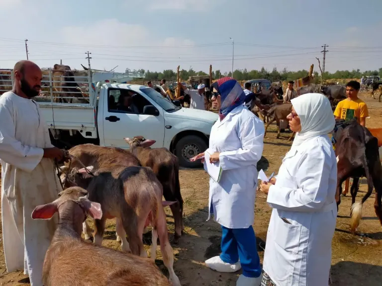 الزراعة تكثف الترصد الوبائي لحماية الثروة الحيوانية