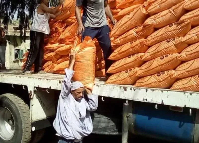 الإصلاح الزراعي يعلن وصول 70% من حصص الأسمدة للمزارعين