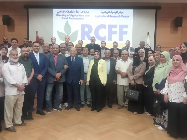 البحوث الزراعية يفند شائعات سمك البلطي: خالٍ من التحوير الجيني