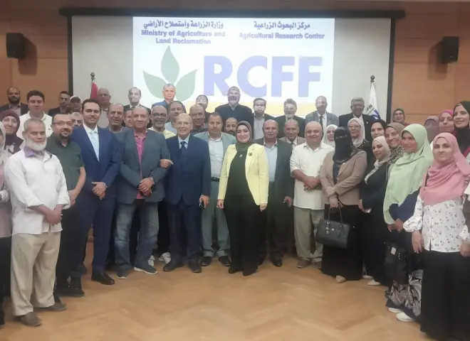 البحوث الزراعية يفند شائعات سمك البلطي: خالٍ من التحوير الجيني