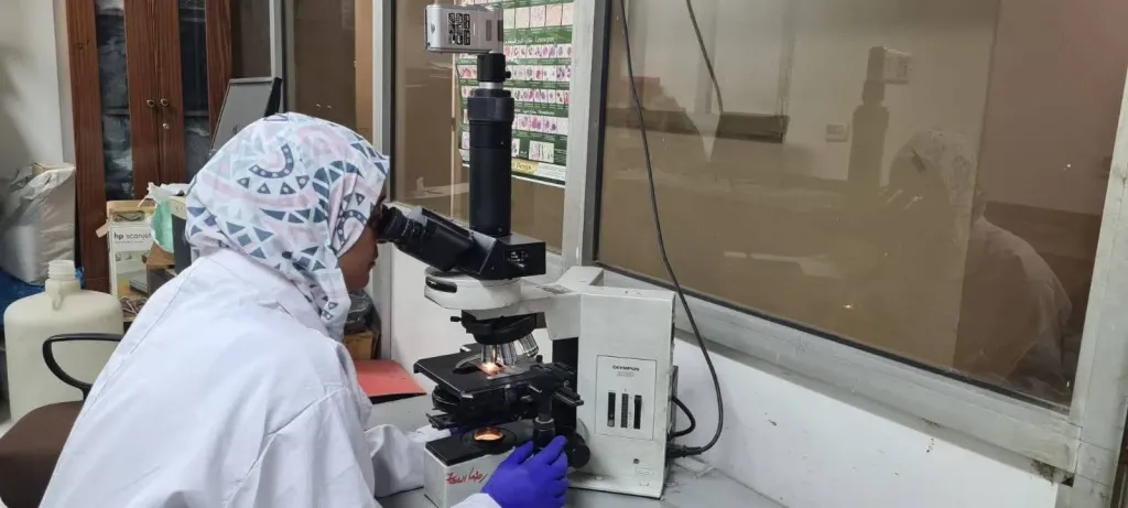 ماذا يحدث داخل مختبرات المبيدات؟.. كواليس فحص 550 عينة غذائية