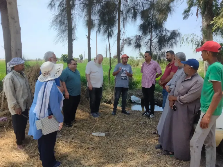بالصور.. تكثيف الأنشطة الإرشادية لدعم محصولي ”الأرز والذرة” بالدقهلية